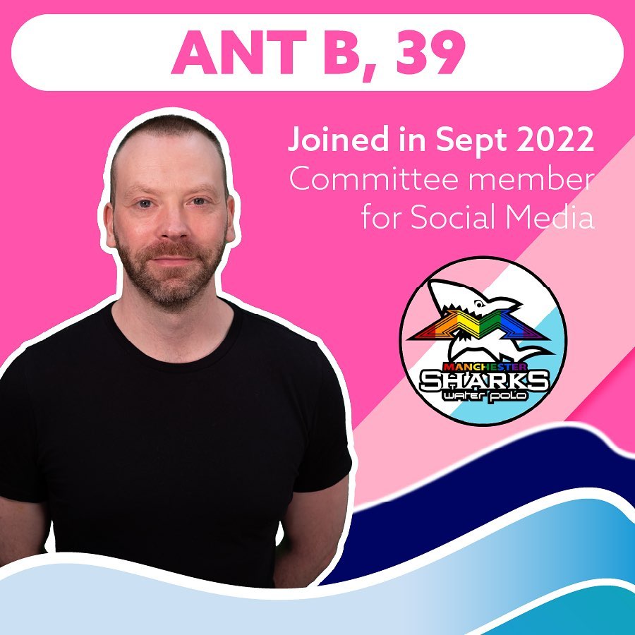 Ant